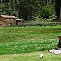 [070316]  043 Cuzco - Puno.jpg