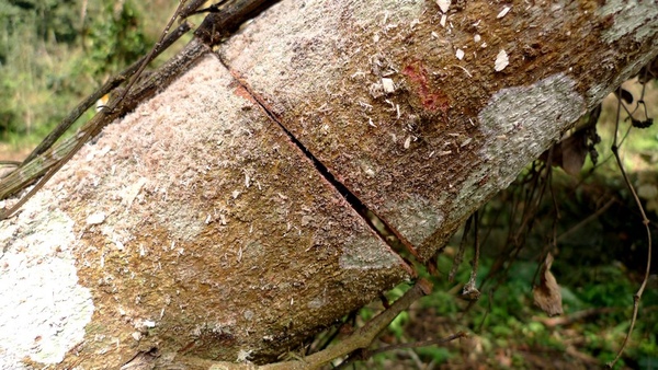 090223001S.jpg 090223001S.jpg