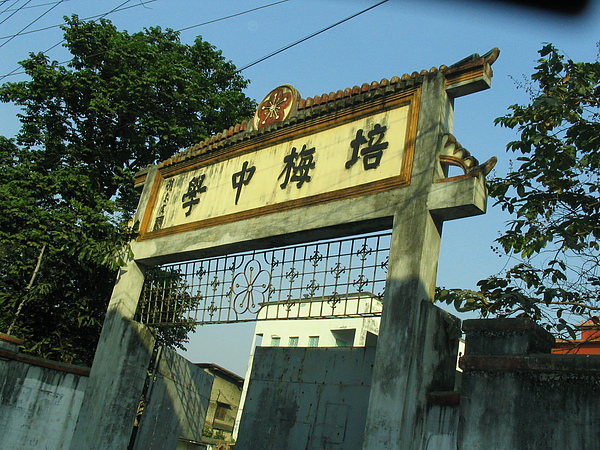 華僑中學.JPG