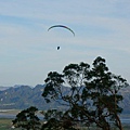 DSC03617.jpg