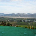 DSC03620.jpg
