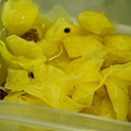 DSC03680.jpg