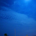 DSC03691.jpg