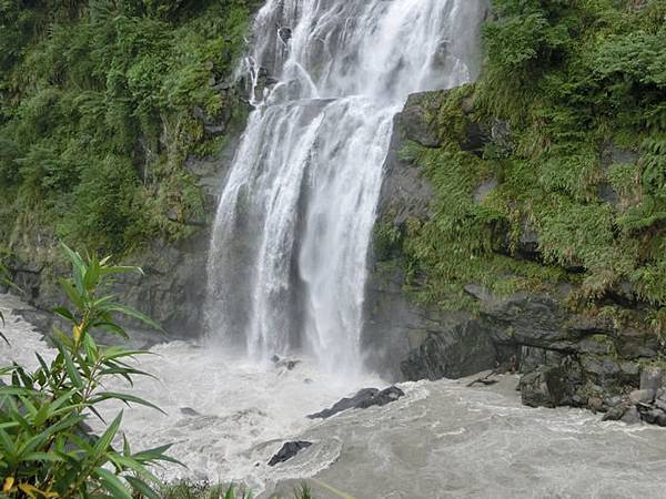 CIMG1447.jpg CIMG1447.jpg