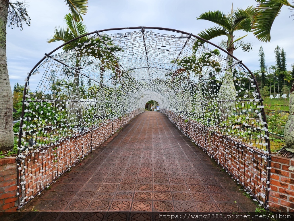 20230123 東南植物樂園 (4).jpg