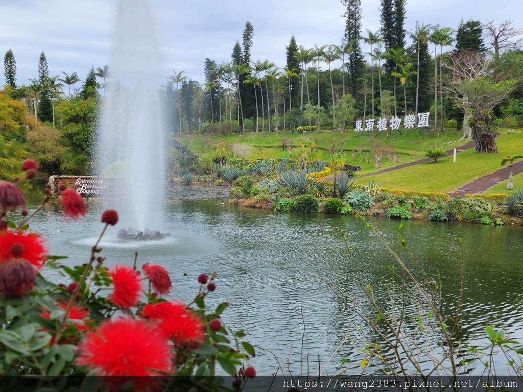 20230123 東南植物樂園 (9).jpg