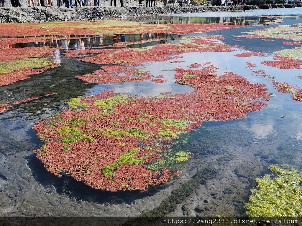 20240217 南投武界 (2).jpg