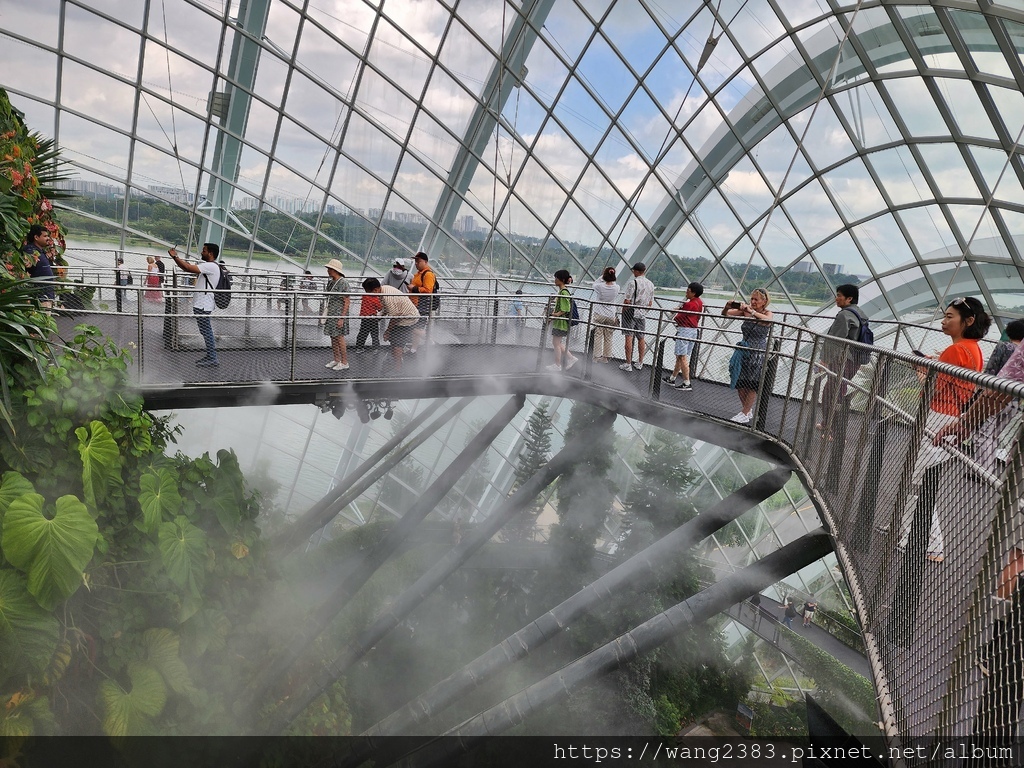 雲霧林 Cloud Forest