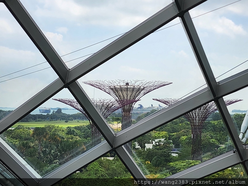 雲霧林 Cloud Forest