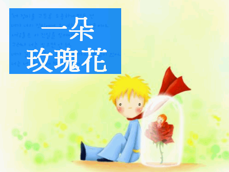 一朵玫瑰花_封面3.gif