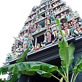 018-印度廟Sri Mariamman