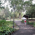 074-最後一天：植物園