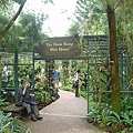 082-National Orchid Garden內一景