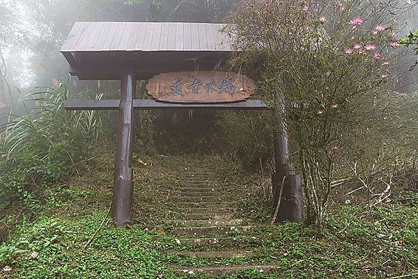 搭林鐵爬山去：火車不到的秘境──瑞里