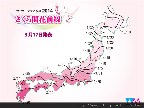 sakura_front_600x450