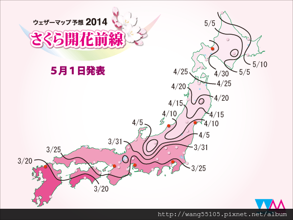 sakura_front_600x450