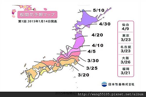 2015櫻花前線1