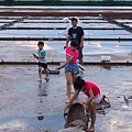 20150531salt-pan-05.jpg