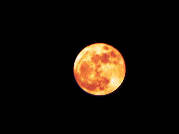 16 11 14 大家口中的超級月亮 永慶老王 永慶中科101店王佐祿 真誠為您服務 0930 臣富不動產經紀有限公司 痞客邦