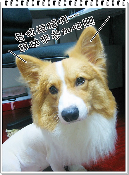 照片 114.jpg 照片 114.jpg