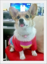 吉吉03.JPG 吉吉03.JPG