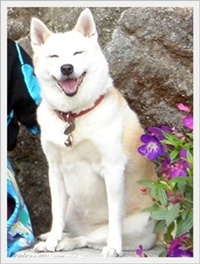 笑荳.jpg 笑荳.jpg