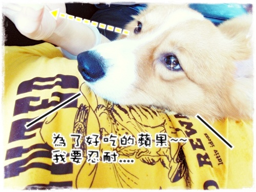 好孩子~~ 006.jpg 好孩子~~ 006.jpg