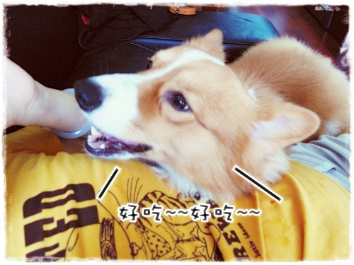 好孩子~~ 004.jpg 好孩子~~ 004.jpg
