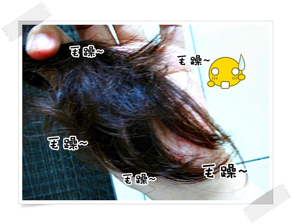 2010.4 007.jpg 2010.4 007.jpg