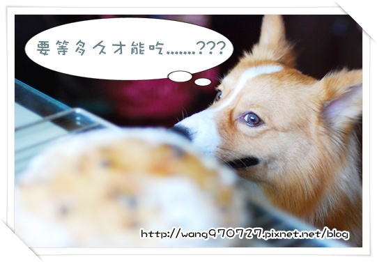 2010.04做麵包 013.jpg 2010.04做麵包 013.jpg