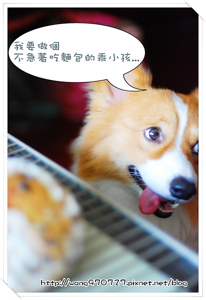 2010.04做麵包 007.jpg 2010.04做麵包 007.jpg