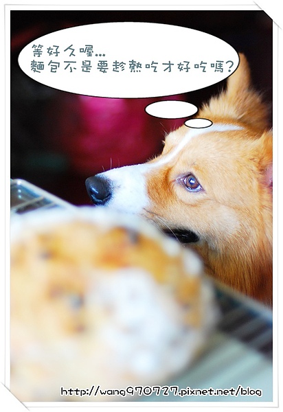 2010.04做麵包 008.jpg 2010.04做麵包 008.jpg