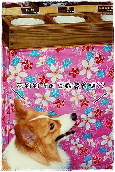 南投2日遊 115.jpg 南投2日遊 115.jpg