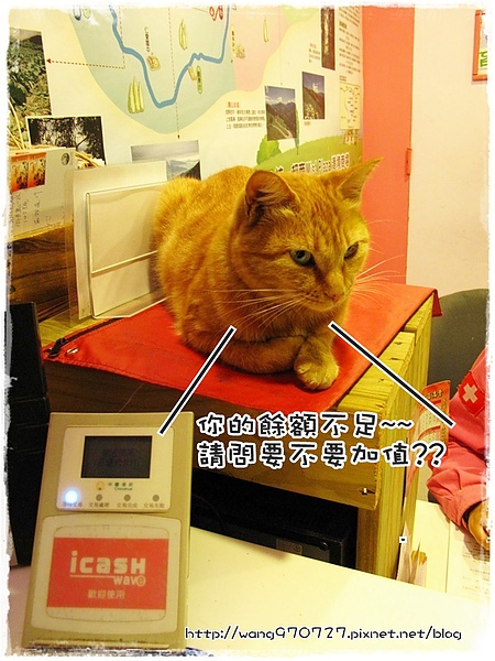 南投2日遊 020.jpg 南投2日遊 020.jpg