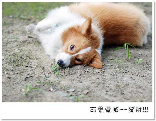 週年慶 027.jpg 週年慶 027.jpg