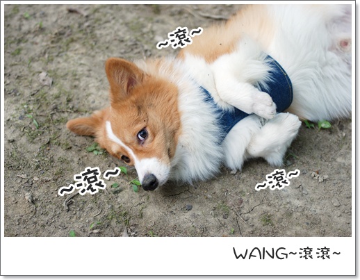 週年慶 028.jpg 週年慶 028.jpg