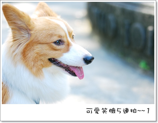 週年慶 118.jpg 週年慶 118.jpg