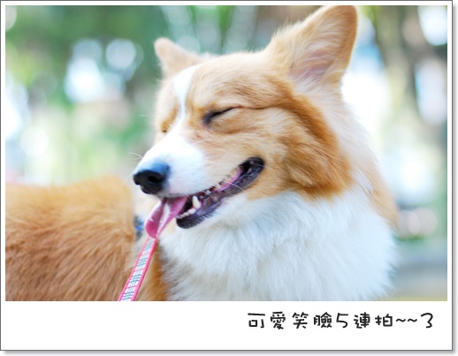 週年慶 115.jpg 週年慶 115.jpg
