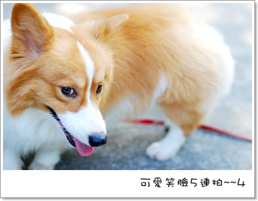週年慶 112.jpg 週年慶 112.jpg