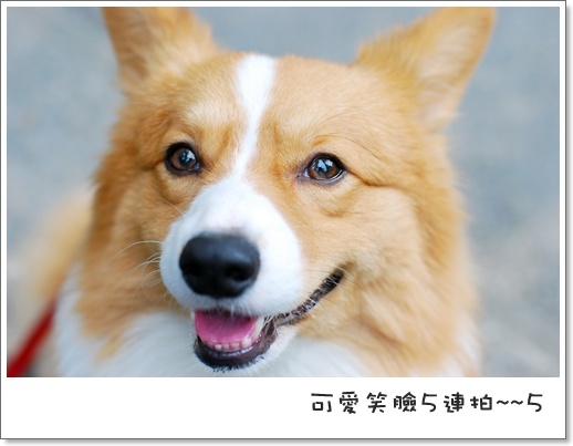 週年慶 137.jpg 週年慶 137.jpg
