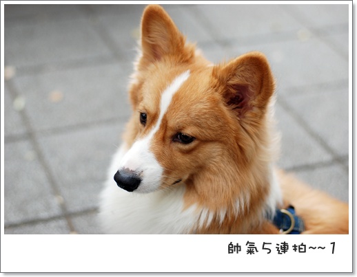 週年慶 043.jpg 週年慶 043.jpg