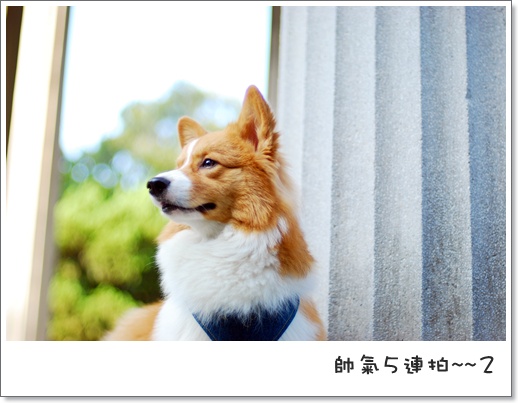 週年慶 056.jpg 週年慶 056.jpg