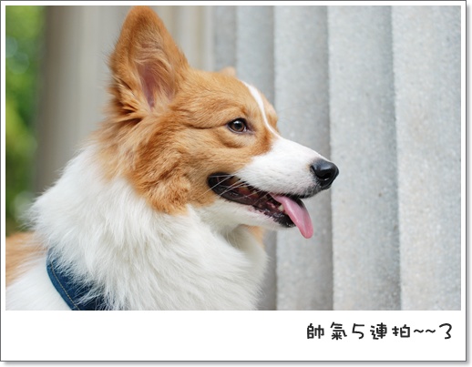 週年慶 046.jpg 週年慶 046.jpg