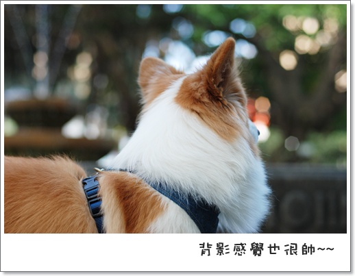 週年慶 063.jpg 週年慶 063.jpg
