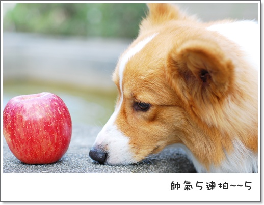週年慶 175.jpg 週年慶 175.jpg