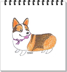 BONNY.jpg BONNY.jpg