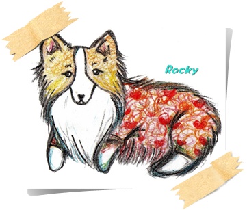 ROCKY.jpg ROCKY.jpg