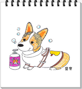 醬寶.jpg 醬寶.jpg