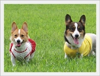 6.20winnie&屁醬.jpg 6.20winnie&屁醬.jpg