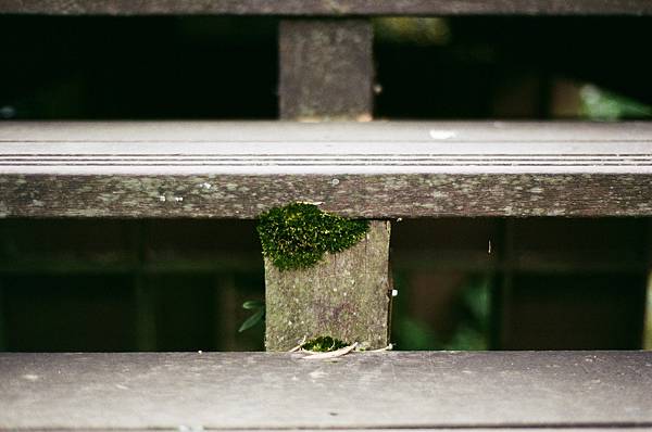 生命力.jpg 生命力.jpg